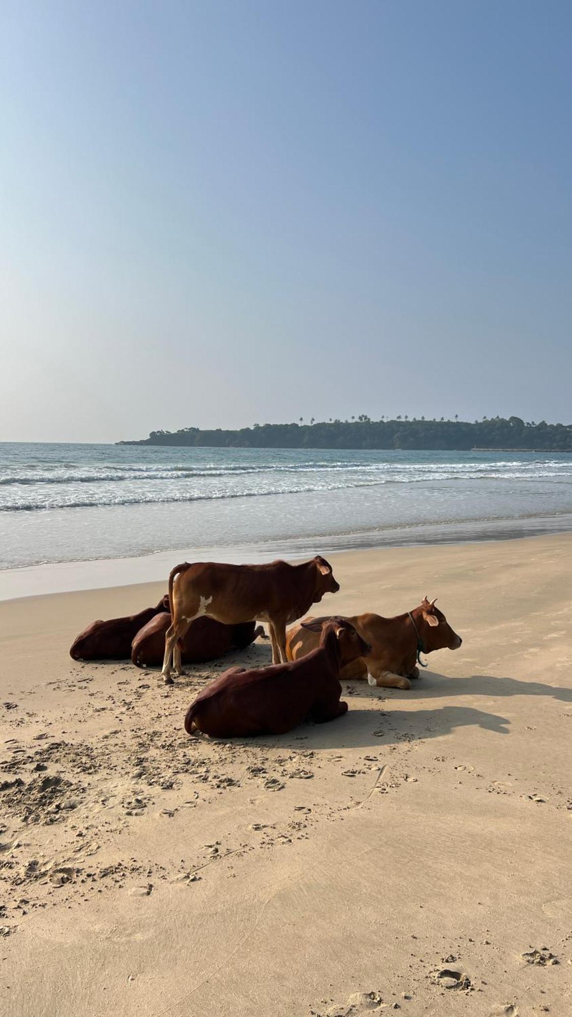 Relax Beach House แทนกาลเล ภายนอก รูปภาพ