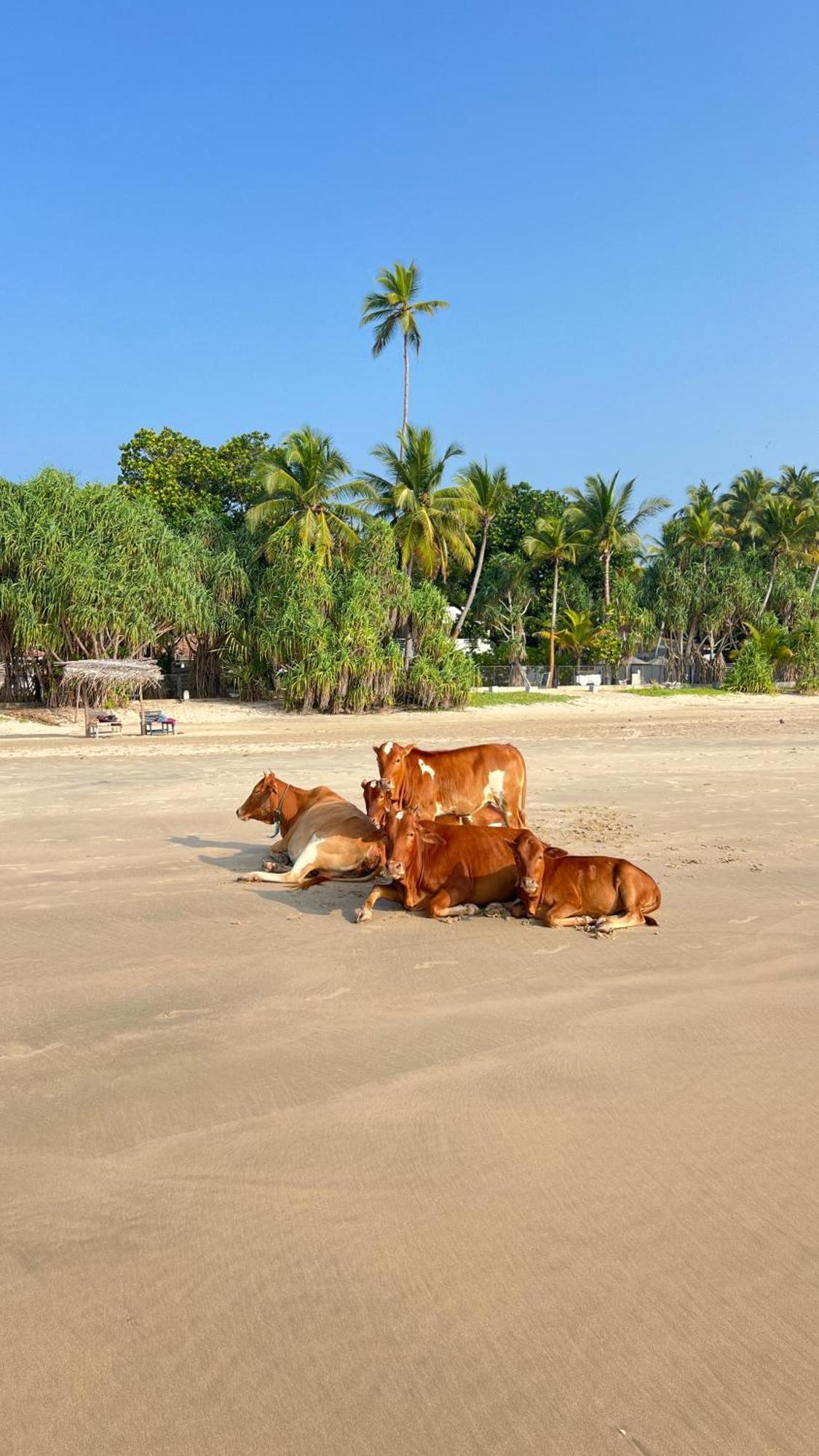 Relax Beach House แทนกาลเล ภายนอก รูปภาพ